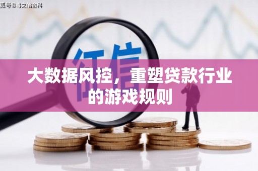 巴林左旗大数据风控，重塑贷款行业的游戏规则