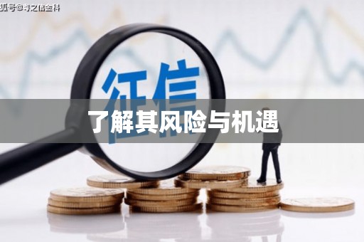 巴林左旗了解其风险与机遇