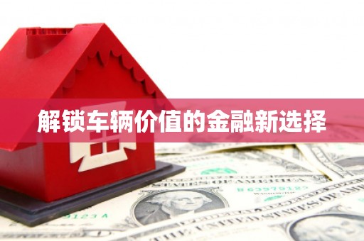 巴林左旗解锁车辆价值的金融新选择
