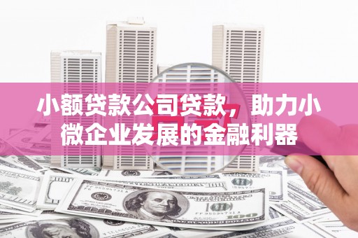 巴林左旗小额贷款公司贷款，助力小微企业发展的金融利器