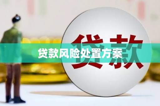 巴林左旗贷款风险处置方案
