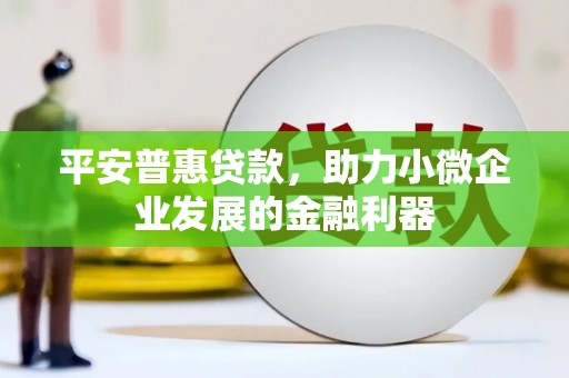 巴林左旗平安普惠贷款，助力小微企业发展的金融利器