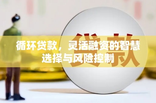 巴林左旗循环贷款，灵活融资的智慧选择与风险控制
