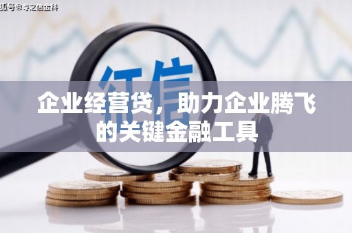 巴林左旗企业经营贷，助力企业腾飞的关键金融工具