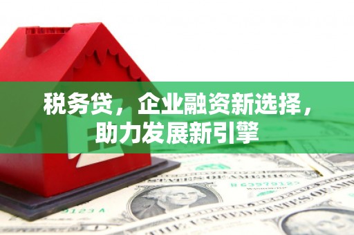 巴林左旗税务贷，企业融资新选择，助力发展新引擎
