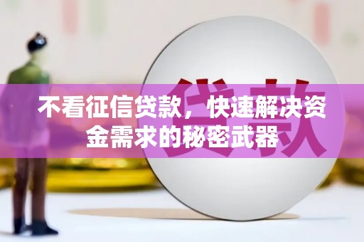 巴林左旗不看征信贷款，快速解决资金需求的秘密武器