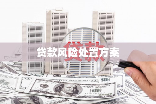 巴林左旗贷款风险处置方案