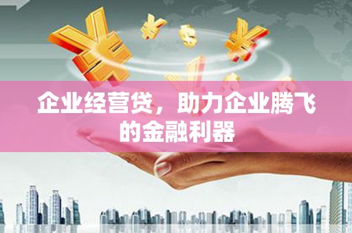 巴林左旗企业经营贷，助力企业腾飞的金融利器