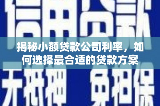 巴林左旗揭秘小额贷款公司利率，如何选择最合适的贷款方案