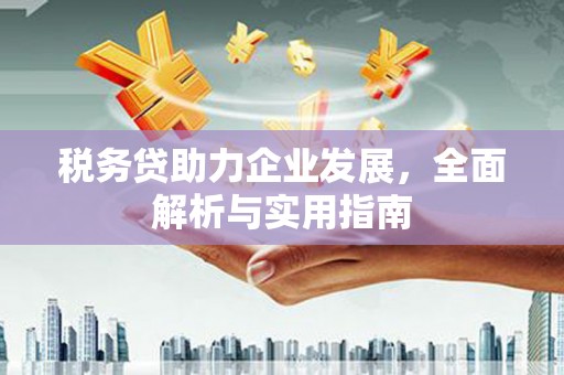 巴林左旗税务贷助力企业发展，全面解析与实用指南
